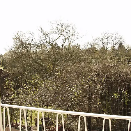 Tolstov - 1 , 3 And 4 - 20 Min Messe Dus & Airport Dus *